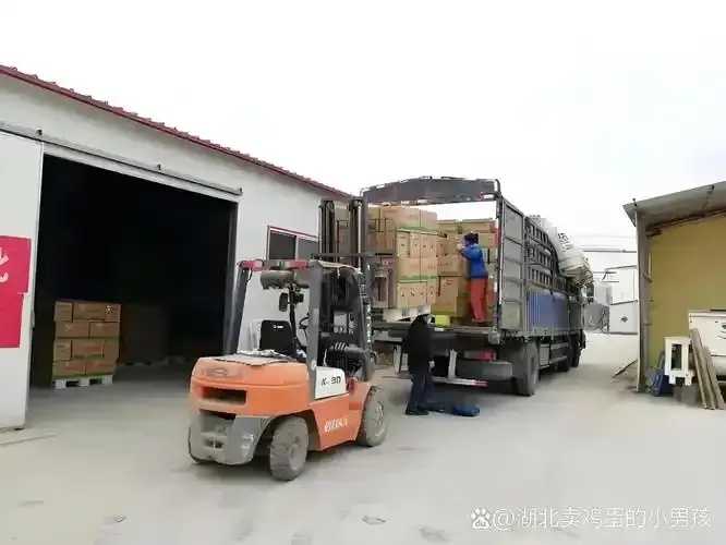 畜牲级货源大揭秘 畜牲 级货 源大 揭秘 第1张 畜牲级货源大揭秘 畜牲 级货 源大 揭秘 第1张