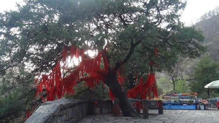 卡券网：优惠信息聚合平台