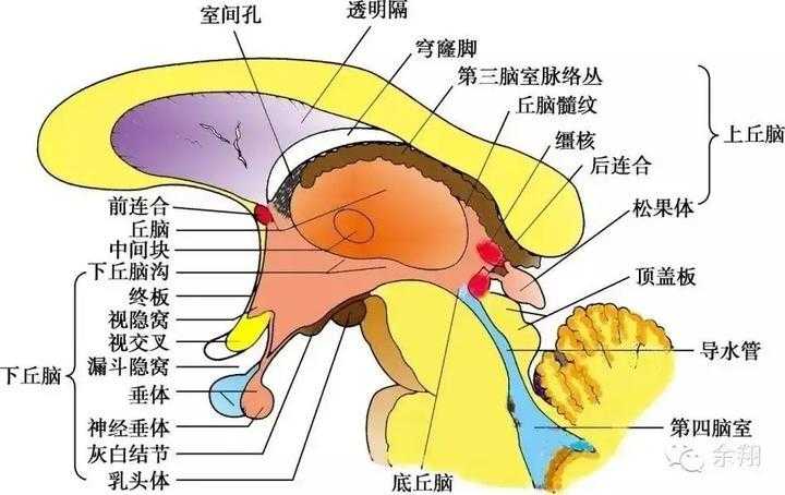 创优卡盟：开启你的无限可能