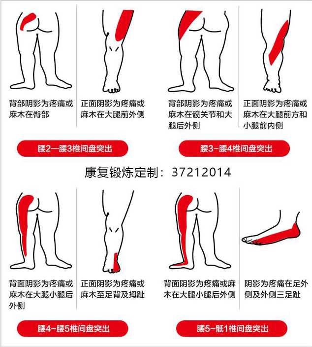 紫夕卡盟运营分析