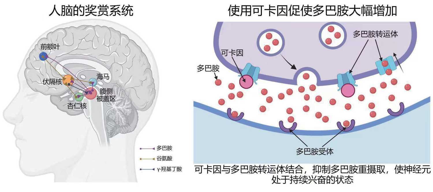 高能英雄小熊猫免费直装v3.0发布