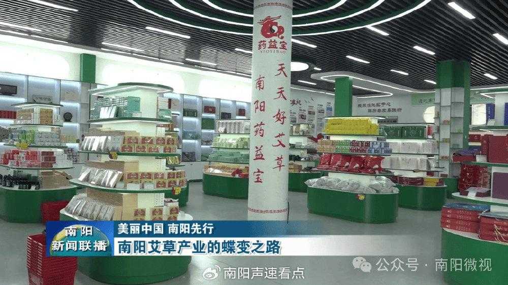 方舟焦土飞龙驯服秘籍