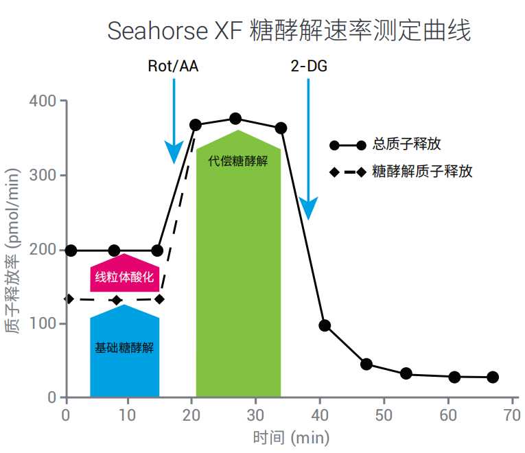 方舟飞升科技代码解析与应用研究