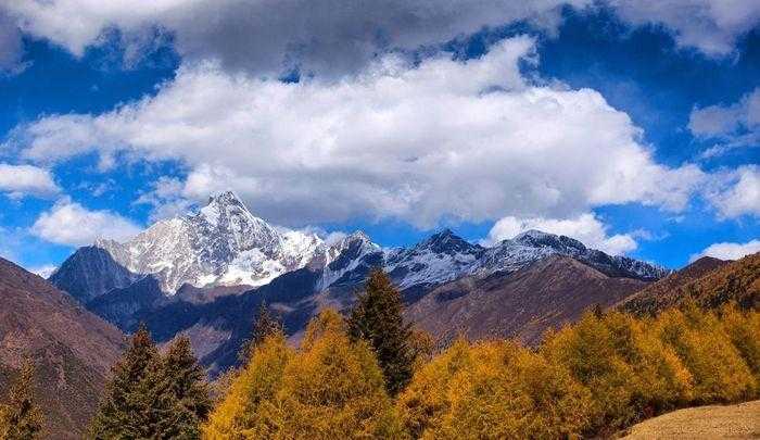 光遇开心果辅助器免费版下载攻略