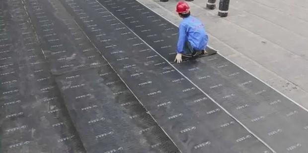 航海王热血航线技推荐揭晓