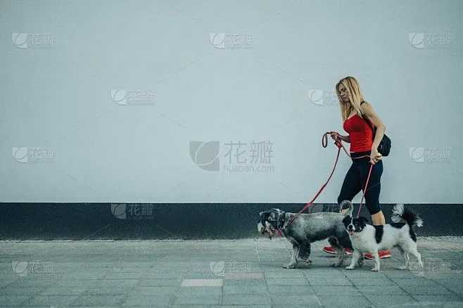 模拟器辅助下载教程曝光