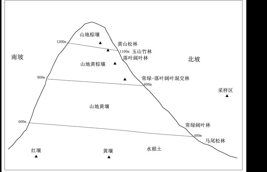和平精英电脑辅助操作大揭秘