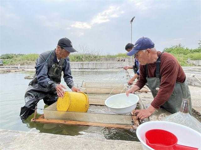 和平精英辅助神器大揭秘
