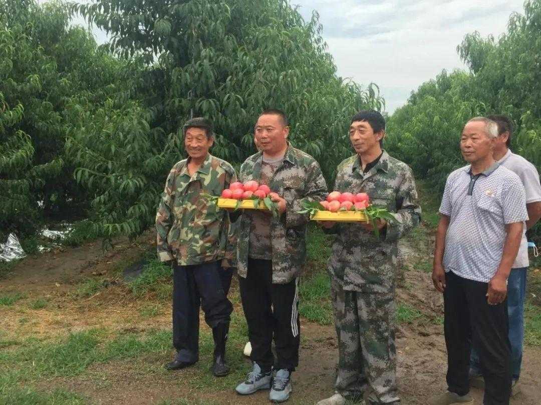 和平精英辅助购买最便宜网站推荐