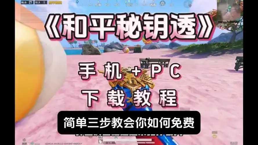 和平精英透视辅助软件下载教程曝光