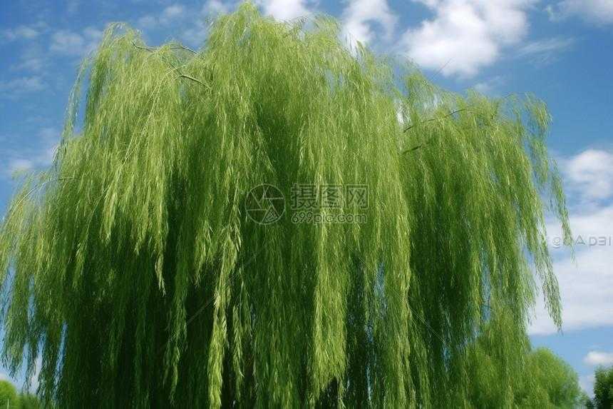 和平精英透视挂永久下载必备神器