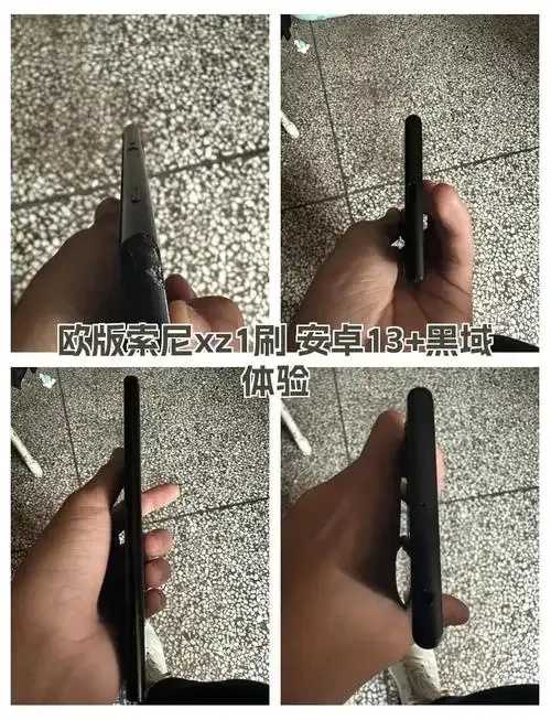 黑域与量子计算技术结合研究