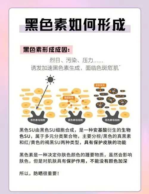 黑域是什么意思及解释