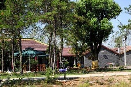 欢乐斗地主透视脚本下载及使用教程