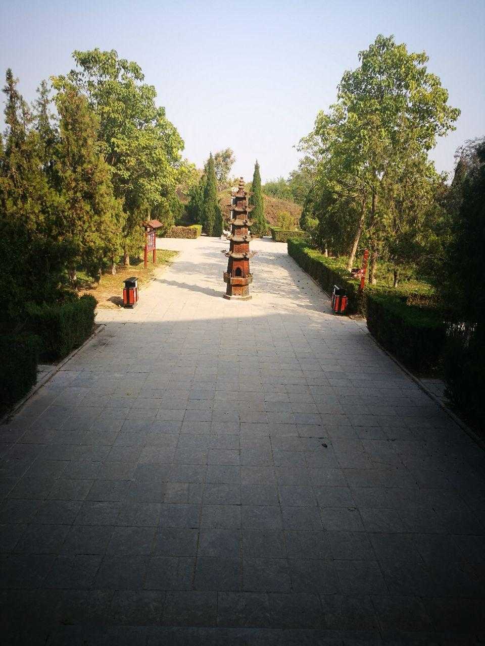 荒野乱斗辅助神器推荐