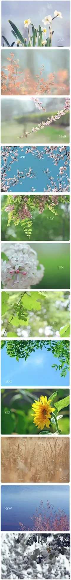 幽灵行动荒野CE脚本曝光