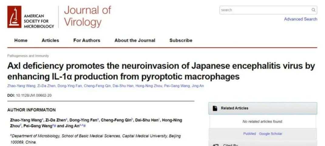 金铲铲之战宣传片震撼来袭 金铲 铲之 战宣 传片 震撼 来袭 第1张 金铲铲之战宣传片震撼来袭 金铲 铲之 战宣 传片 震撼 来袭 第1张