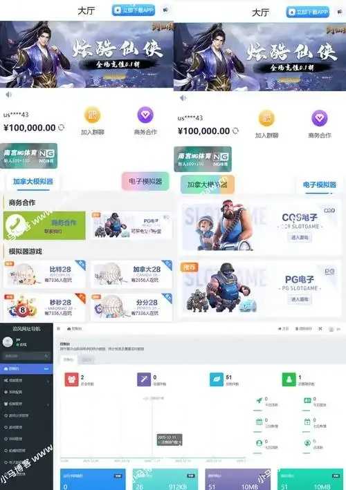 网源码官网最新动态解析