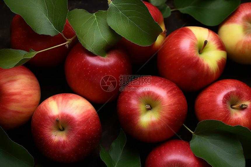 苹果iOS自动化脚本工具推荐  苹果 iO S自 动化 脚本 工具 推荐 第1张