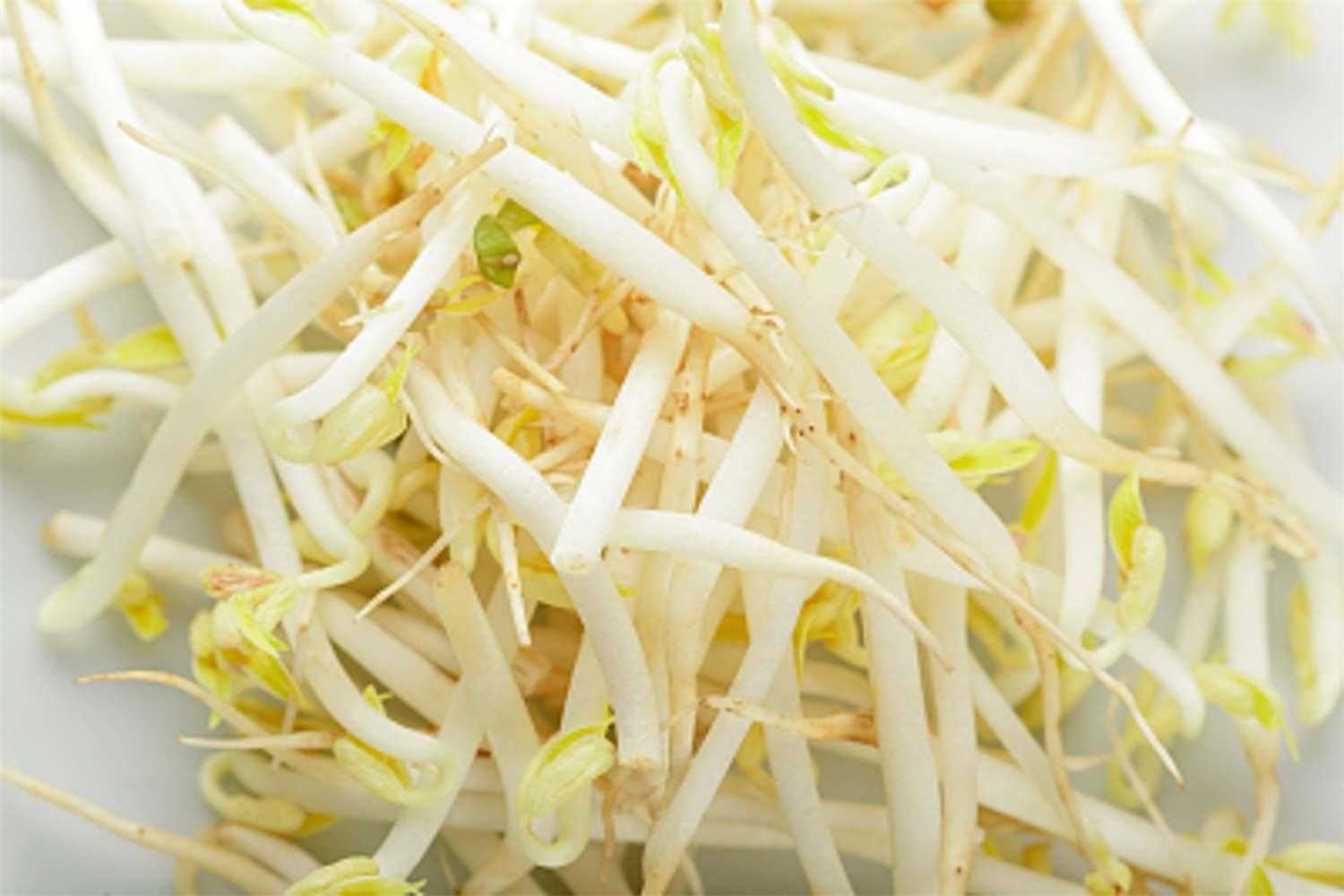 狼人杀荣誉值几阶