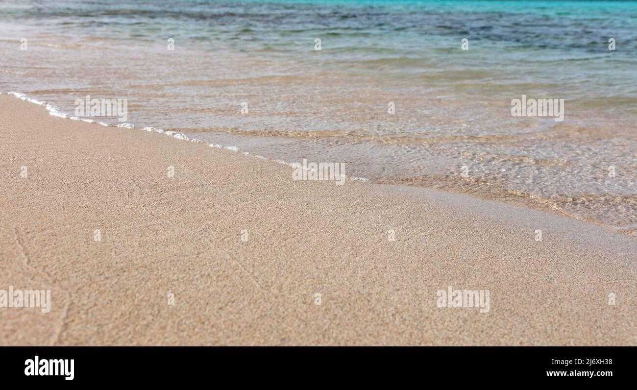 流放之路外挂曝光调查