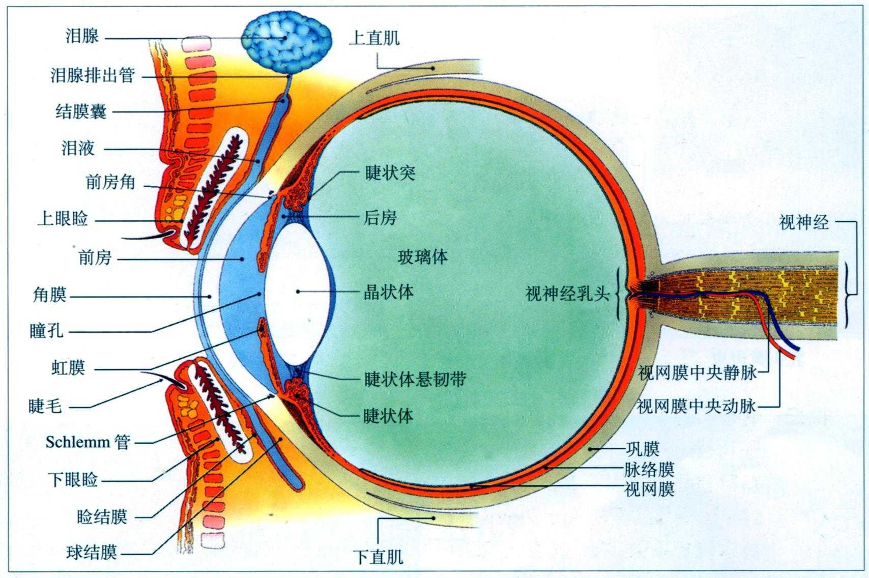 炉石传说百度百科更新维护公告