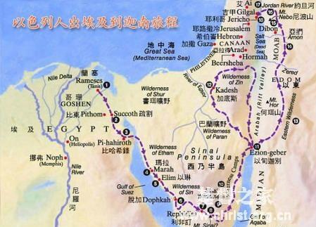 炉石传说辅助器哪个好推荐及选择方法 炉石 传说 辅助 器哪 个好 推荐 及选 择方 第1张 炉石传说辅助器哪个好推荐及选择方法 炉石 传说 辅助 器哪 个好 推荐 及选 择方 第1张