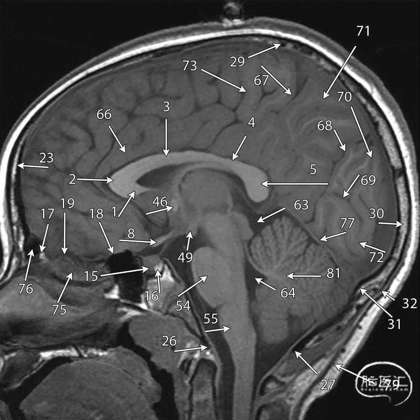 梦幻西游科技题库解析 梦幻 西游 科技 题库 解析 第1张 梦幻西游科技题库解析 梦幻 西游 科技 题库 解析 第1张