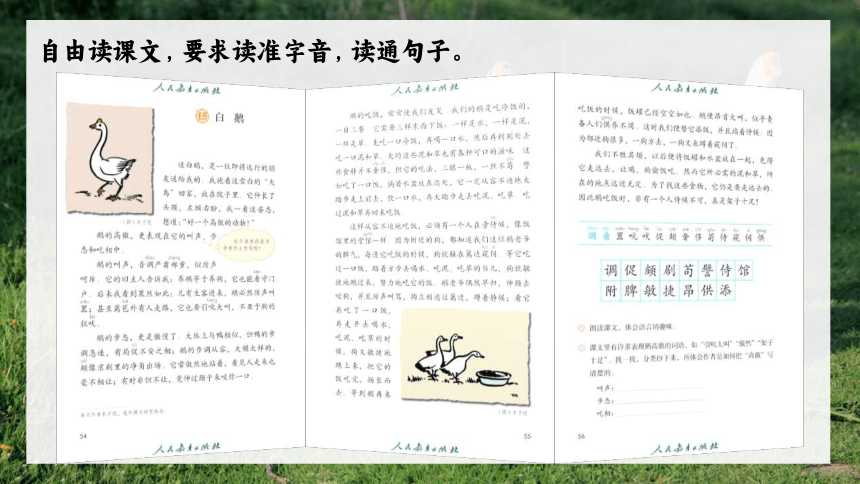 梦幻西游辅助工具解析