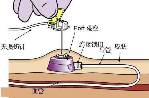 梦幻西游脚本挖图一个月能赚多少钱 梦幻 西游 脚本 挖图 一个 月能 赚多 少钱 第1张 梦幻西游脚本挖图一个月能赚多少钱 梦幻 西游 脚本 挖图 一个 月能 赚多 少钱 第1张