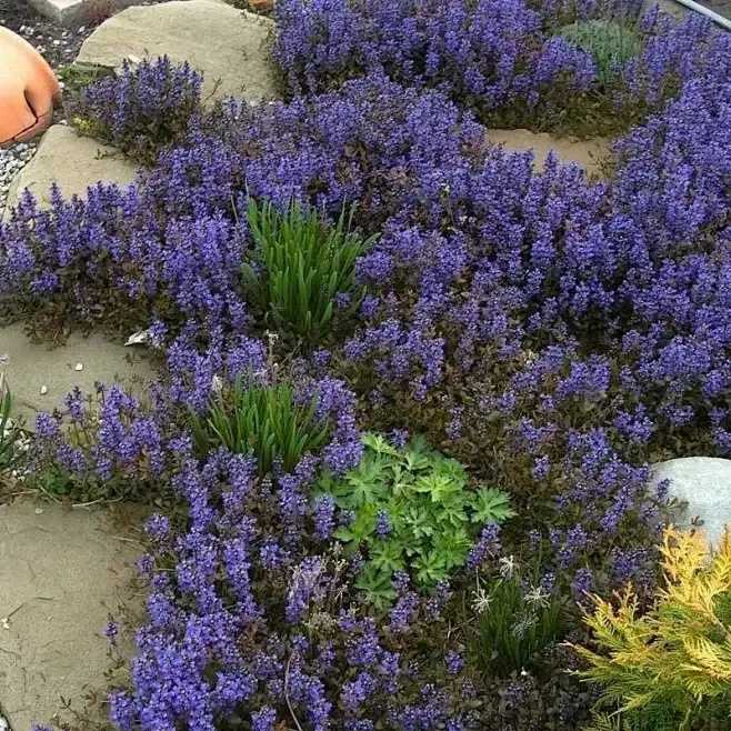 迷你世界助手软件违规使用引关注 迷你 世界 助手 软件 违规 使用 引关 注 第1张 迷你世界助手软件违规使用引关注 迷你 世界 助手 软件 违规 使用 引关 注 第1张