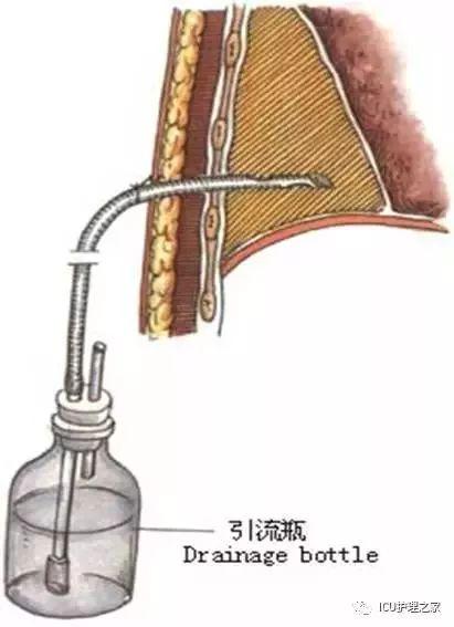 喵斯快跑英文名揭秘