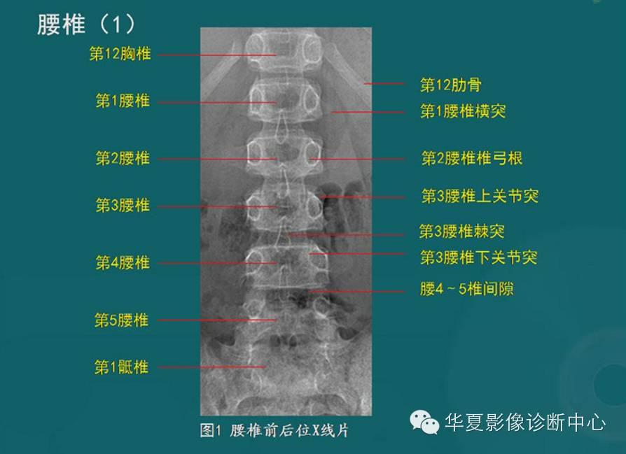 明日之后荒土旷野保险箱使用技巧与攻略