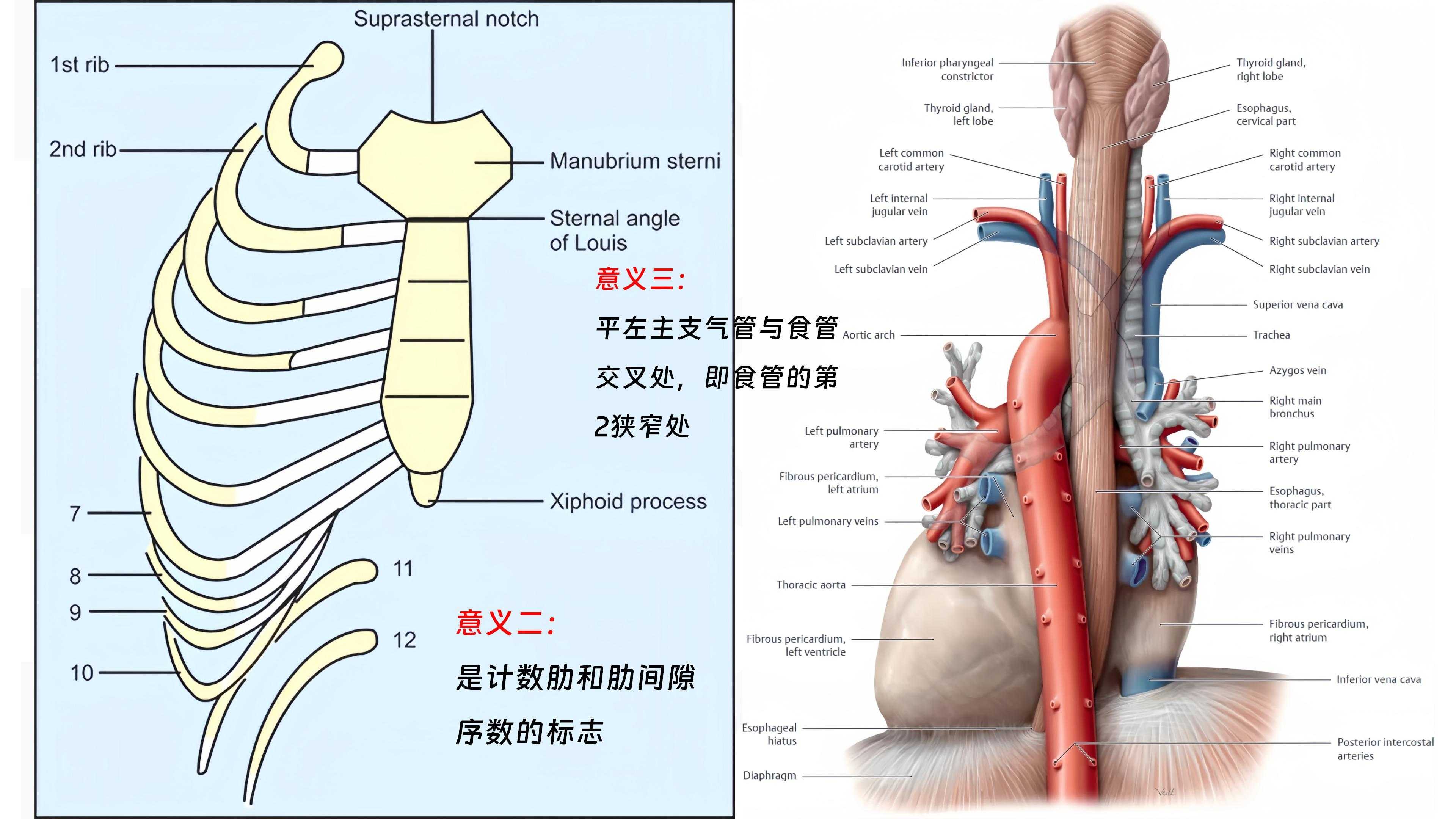 明日之后开挂辅助软件评测与推荐