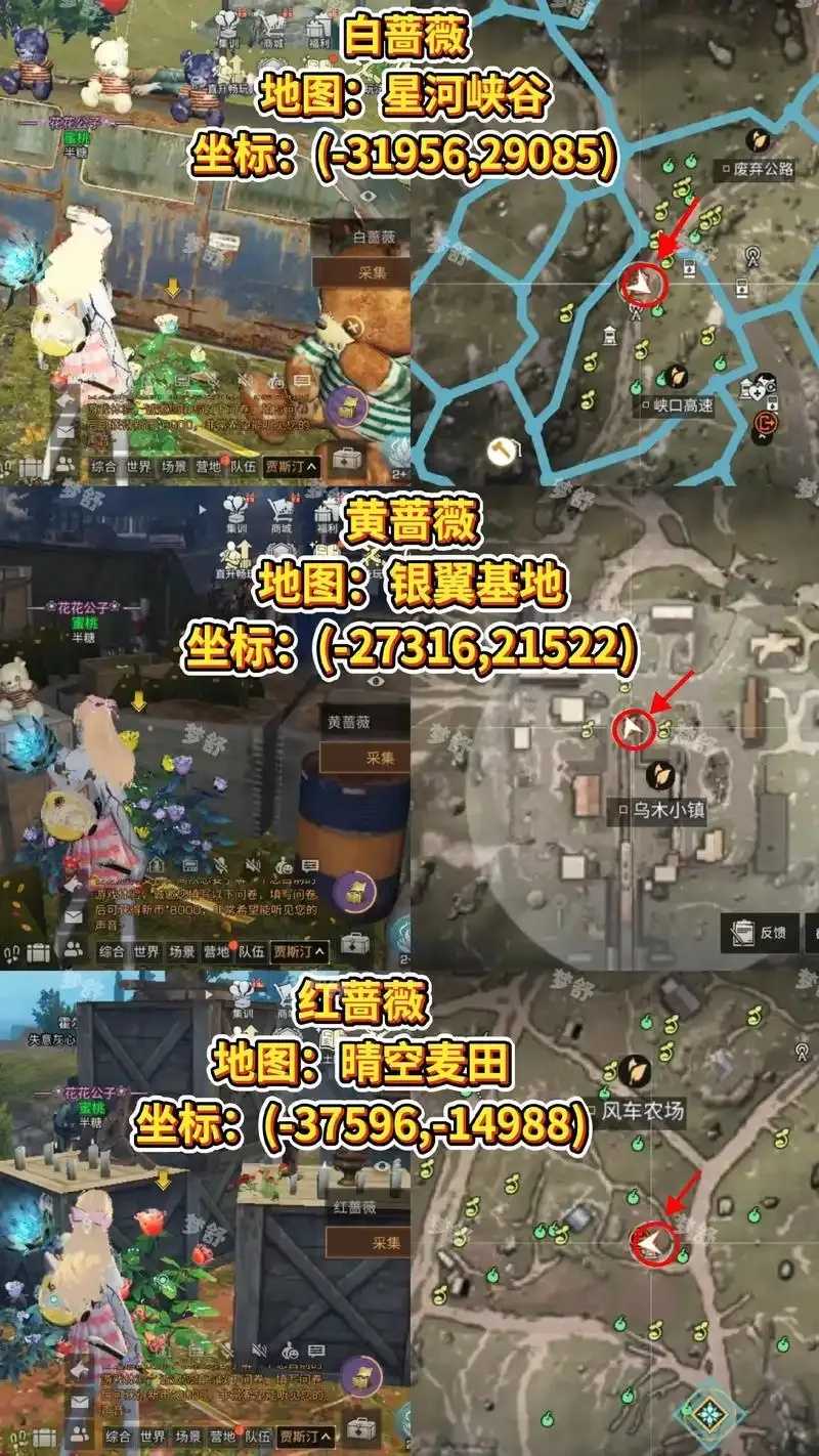 明日之后土豆采集地指南 明日 之后 土豆 采集 地指 南 第1张 明日之后土豆采集地指南 明日 之后 土豆 采集 地指 南 第1张
