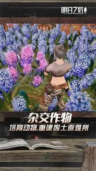 明日之后渠道服最新区开放公告