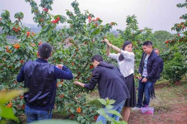 外挂客户端安全风险分析