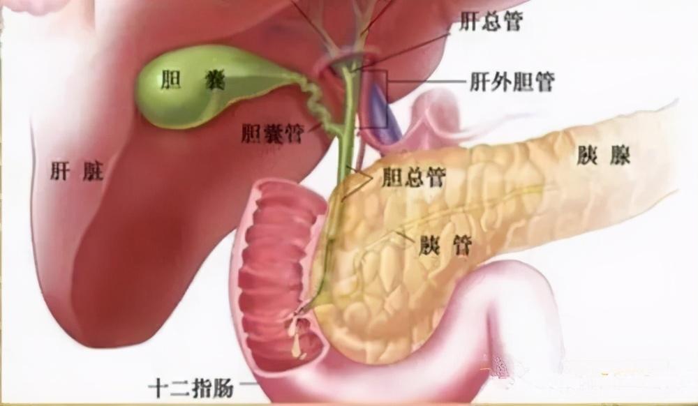 帕斯卡契约破解分析
