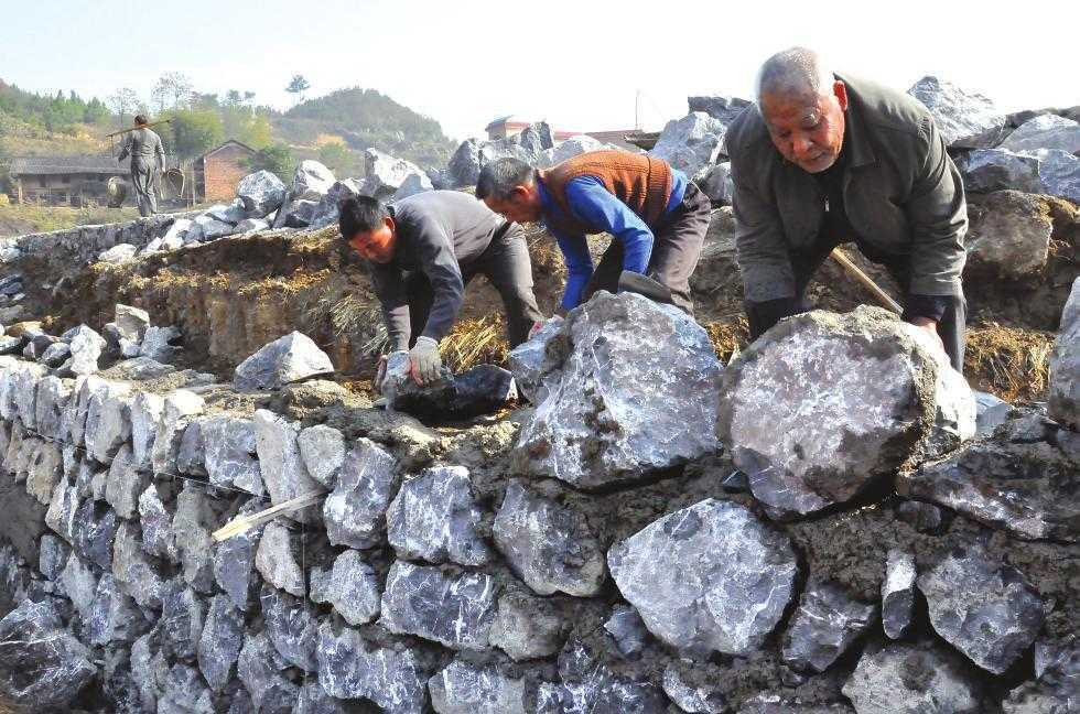 帕斯卡契约GG修改器安卓版曝光