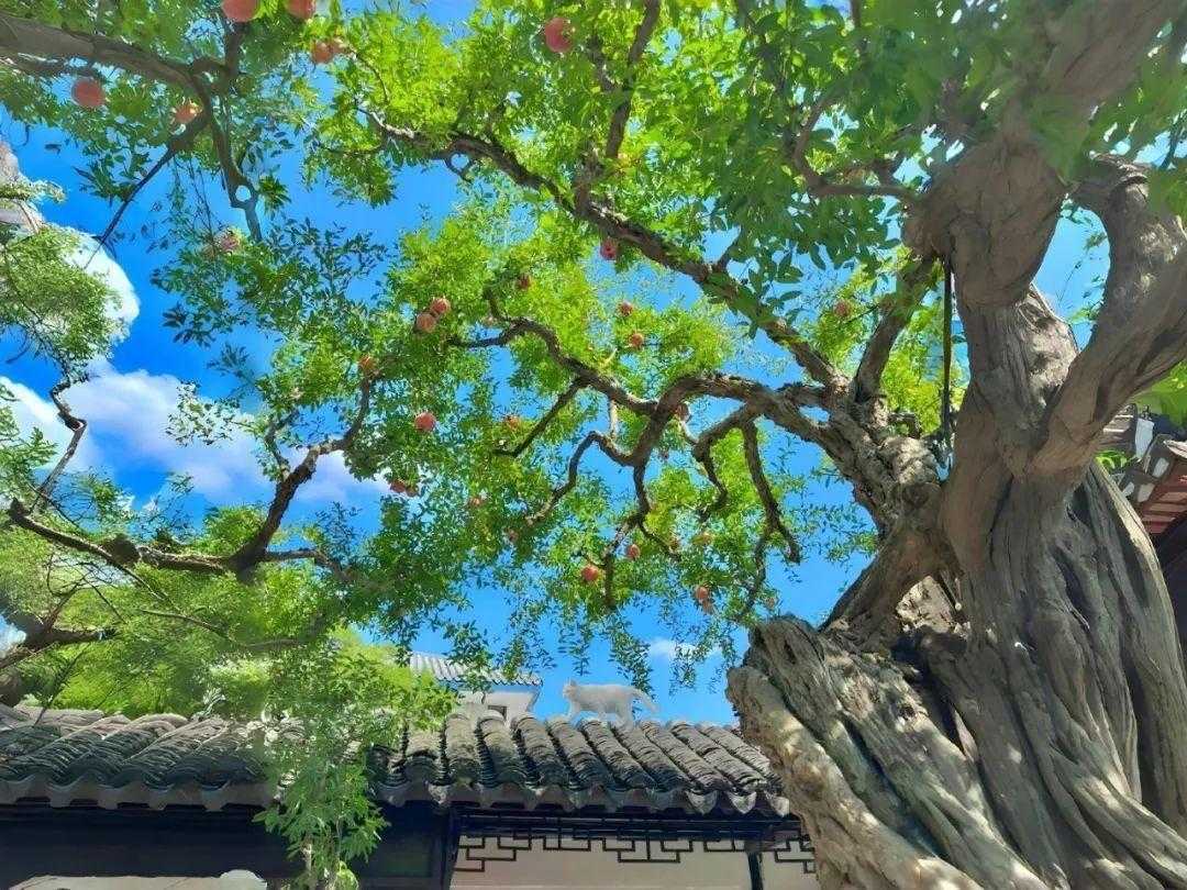 跑跑卡丁车辅助包下载与使用教程 跑跑 卡丁 车辅 助包 下载 与使 用教 程 第1张 跑跑卡丁车辅助包下载与使用教程 跑跑 卡丁 车辅 助包 下载 与使 用教 程 第1张