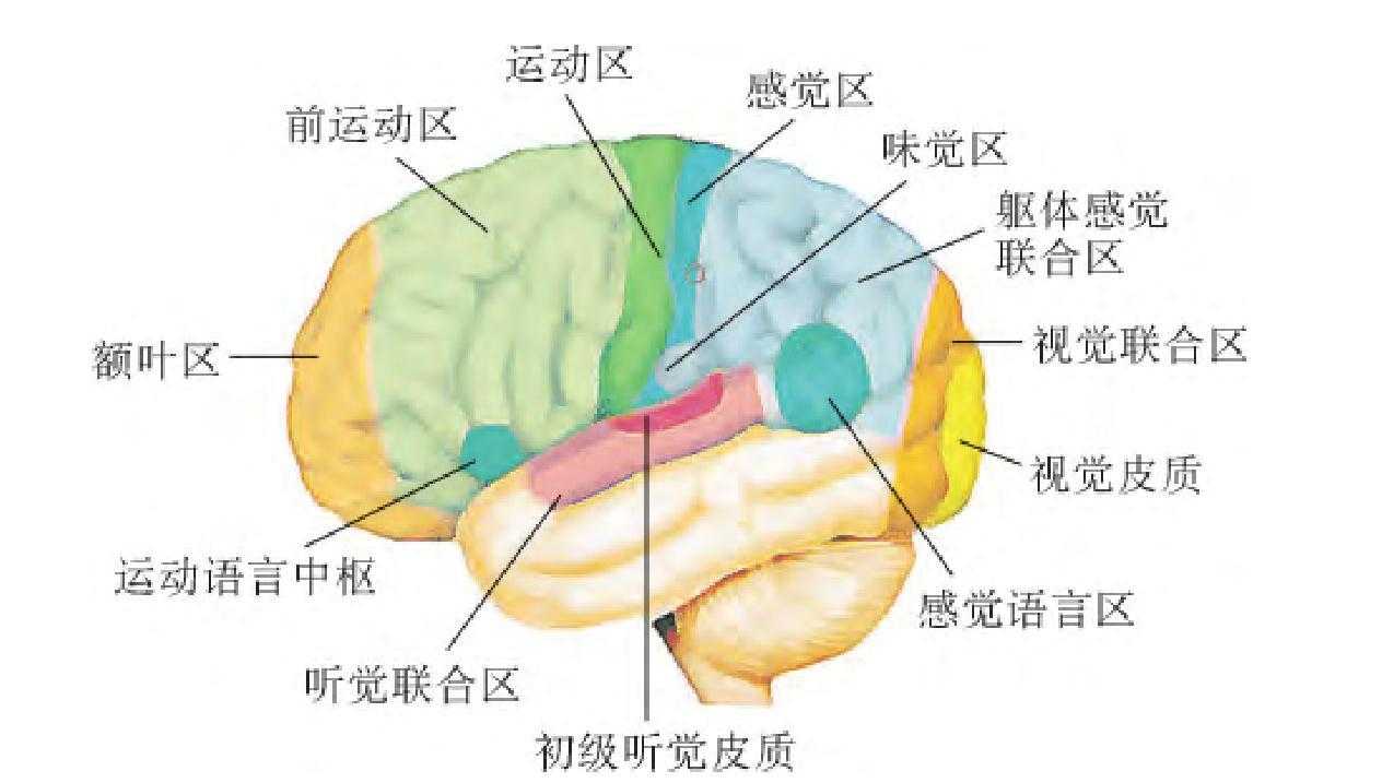 跑跑卡丁车辅助手游下载与使用技巧