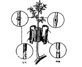 游戏开挂神器汇总 游戏 开挂 神器 汇总 第1张 游戏开挂神器汇总 游戏 开挂 神器 汇总 第1张
