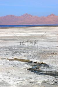 球球吐球直装免费分享技巧