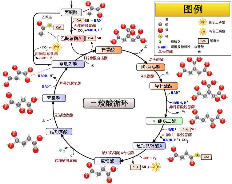 球球大战作战策略分析