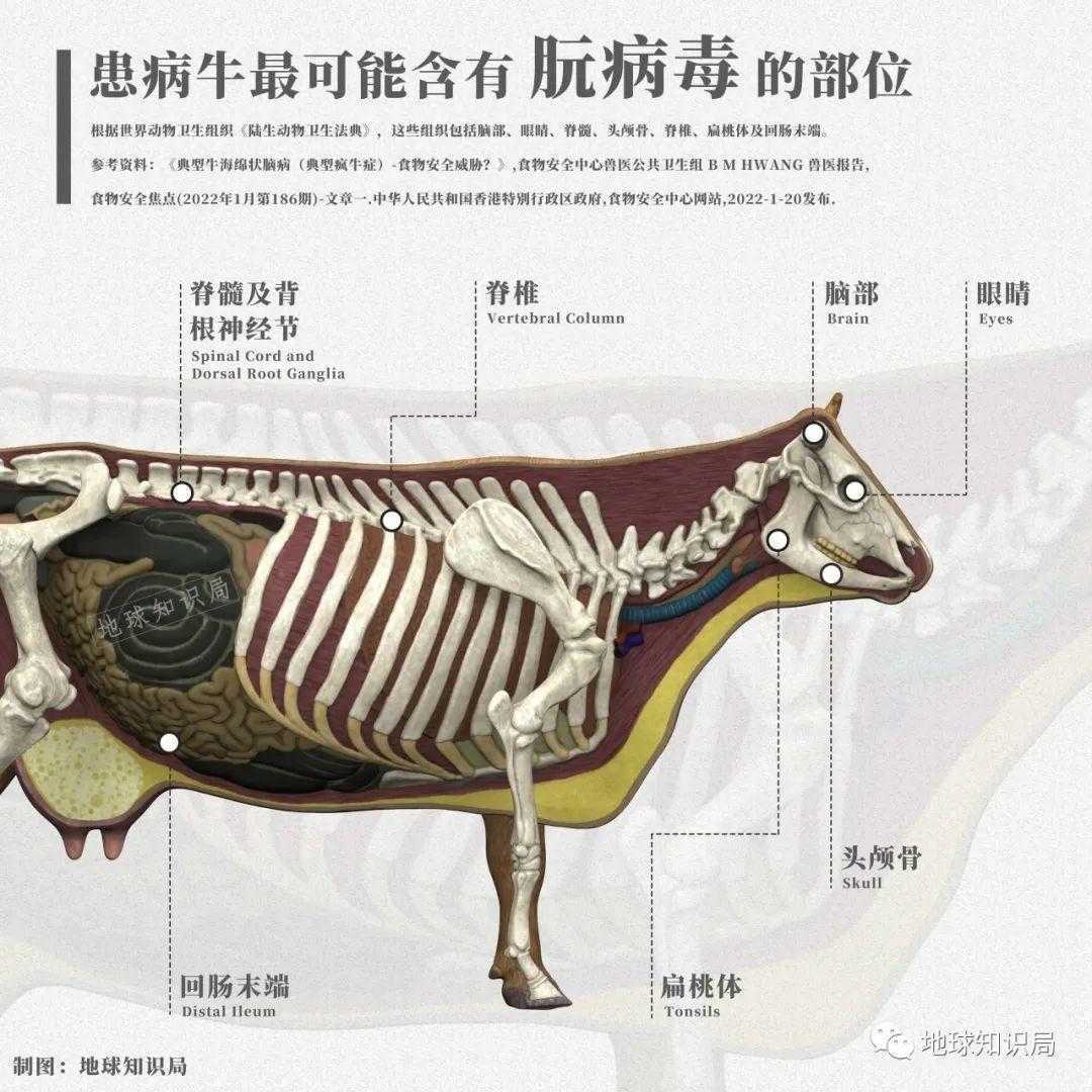 球球大作战脚本免root教程分享 球球 大作 战脚 本免 ro ot 教程 分享 第1张 球球大作战脚本免root教程分享 球球 大作 战脚 本免 ro ot 教程 分享 第1张