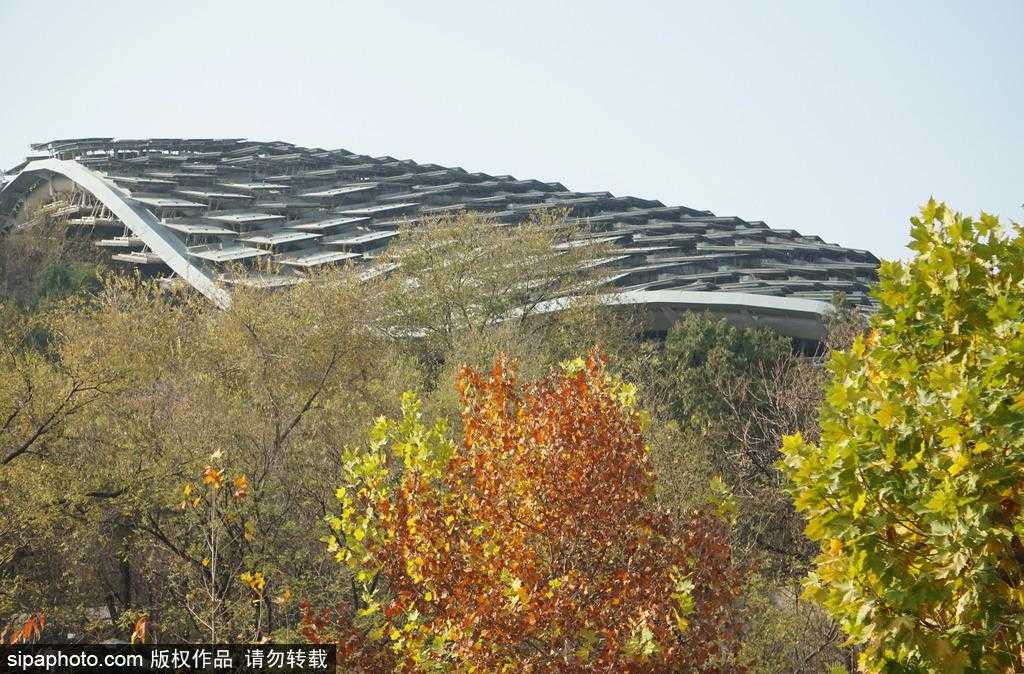 三国杀辅助台词设计与应用