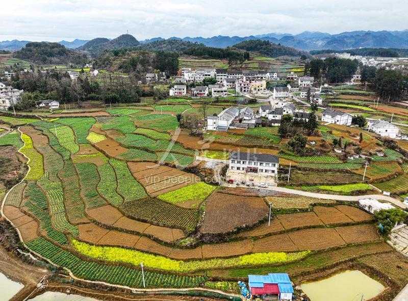 三国杀辅助器手机版下载与使用教程