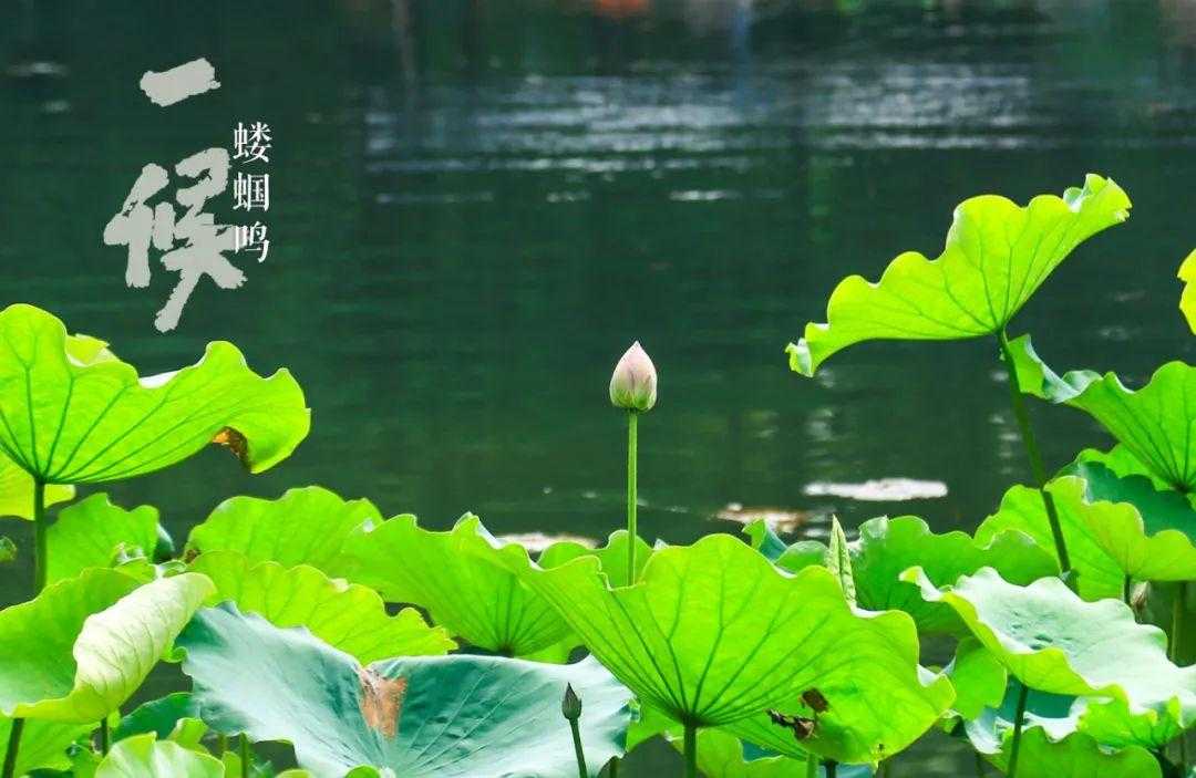三国志战略版挂机软件评测