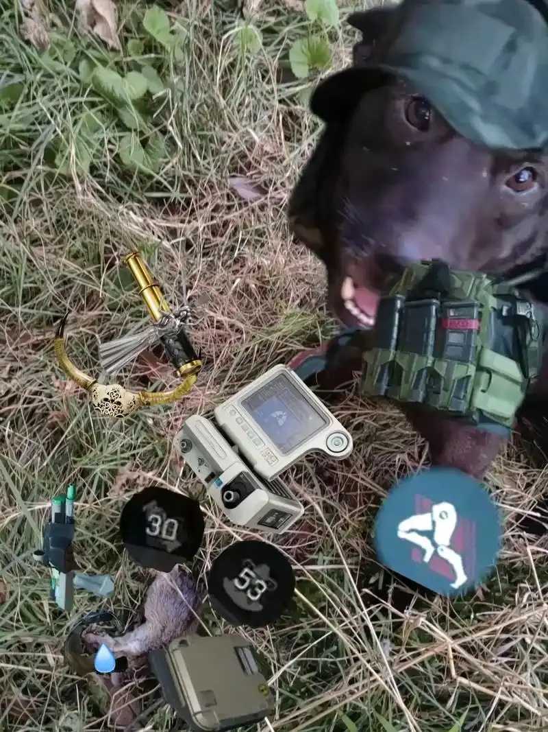 三角洲寻血猎犬免费提供