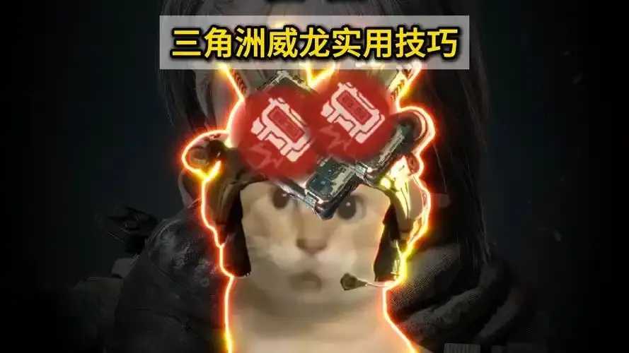 三角洲威龙漏打直装王炸  三角 洲威 龙漏 打直 装王 炸 第1张